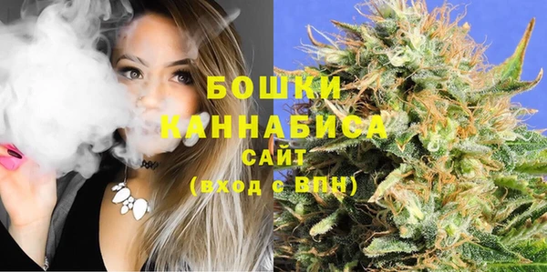a pvp Белокуриха